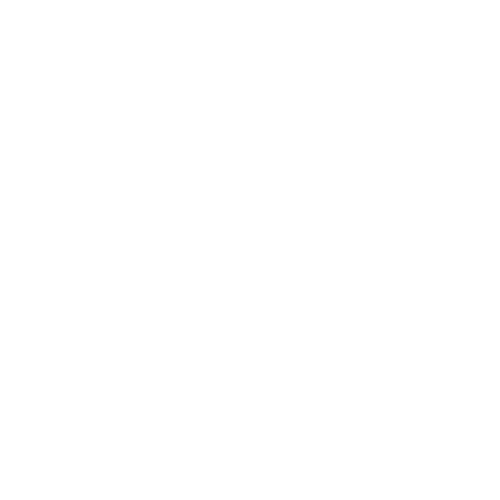 Whatsapp Services